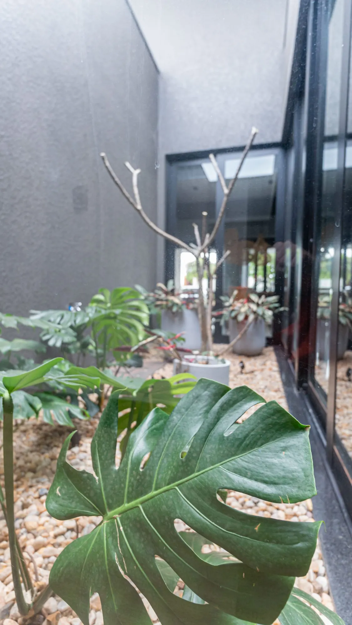 Casa Serena — foto 28